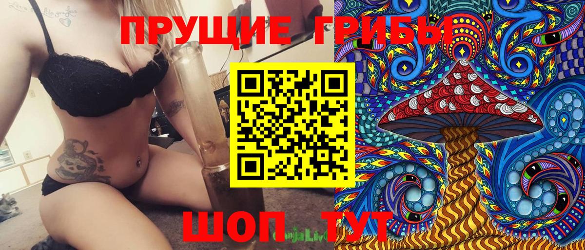 Псилоцибиновые грибы Psilocybine cubensis Кизилюрт