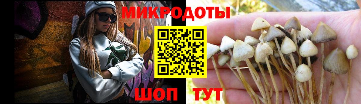 Псилоцибиновые грибы ЛСД  Вход с VPN  Псилоцибиновые грибы мухоморы  Кизилюрт 